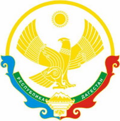 система избрания государственного совета республики дагестан